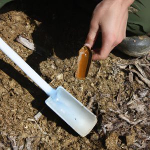 Person conducting soil testing
